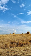 straw bales on a field