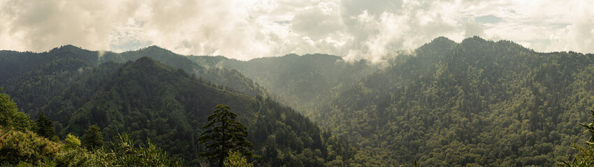 Fototapeta premium Panorama view of forest hills in smoky mountains national park in cloudy weather