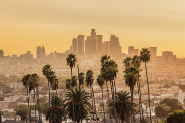 Los Angeles Skyline in the Evening