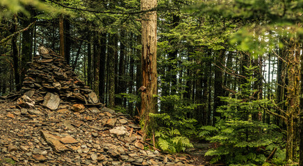 Stone high mound builded in forest