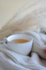 Autumn composition with sweater, pumpkin, dry flowers and a hot tea. Autumn stylish decorations for Halloween or holiday and Thanksgiving day.
