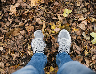Top view of boots on fallen autumn leaves.