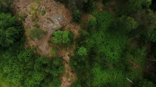 Arieal drone footage of swedish nature 
