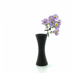 Small ceramic black vase. Gracefully curved shape, rough surface. In a vase there are lilac autumn flowers with yellow centers. Isolated over white background.