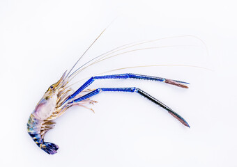 Fresh shrimp good raw seafood