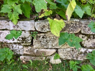 Mur en pierre sèche