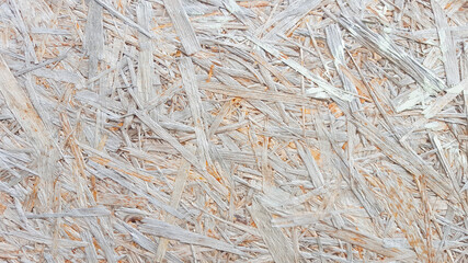 wood background texture structure backdrop