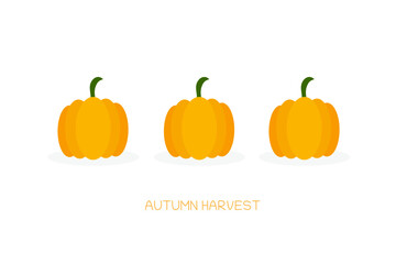 Vector set of orange pumpkins isolated on a white background.Thanksgiving pictogram collection farm harvest, vegetable. Halloween.