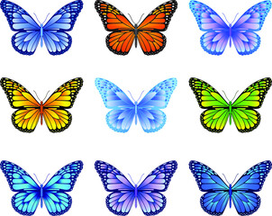 Fototapeta na wymiar Danaus plexippus butterfly vector image for web design and print