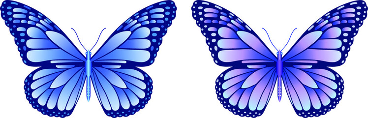 Danaus plexippus butterfly vector image for web design and print