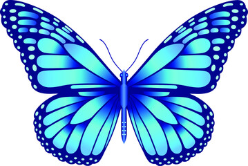 Danaus plexippus butterfly vector image for web design and print