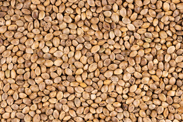 Hemp seeds background. Dry seeds of cannabis, hemp or marijuana.