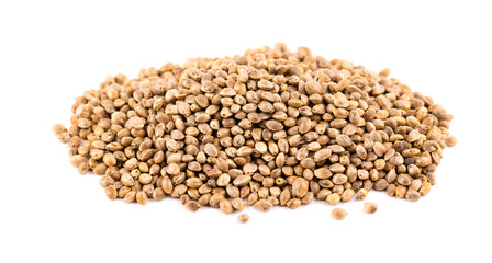 Hemp seeds isolated on white background. Dry seeds of cannabis, hemp or marijuana.