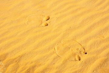 Fototapeta na wymiar Camel footprints on a wavy sand in a desert in the United Arab Emirates