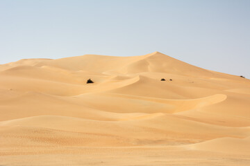 Fototapeta na wymiar Sand dunes in the Empty Quarter (Rub' al Khali) part of the larger Arabian Desert in the United Arab Emirates.
