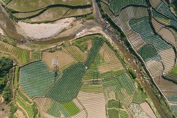 Rice Fields, rice terrace Paddy in Sa Pa Lao Cai Vietnam Asia Aerial Drone Photo