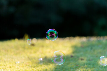 秋の公園に飛んでいる綺麗なシャボン玉の風景