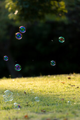 秋の公園に飛んでいる綺麗なシャボン玉の風景