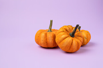 Creative fall layout made with pumpkins on purple background. Minimal autumn, seasonal, Thanksgiving, food concept. Copy space, greeting card.