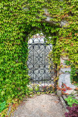 A beautiful arch with forged lattices and entwined with ivy.