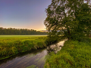 Having a walk along a creek within the natural reserve called Mönchbruch in Hesse, Germany at...