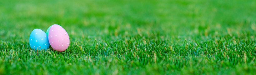 Painted Easter eggs lie on the green grass of the gazog. Stretched panoramic image for banner
