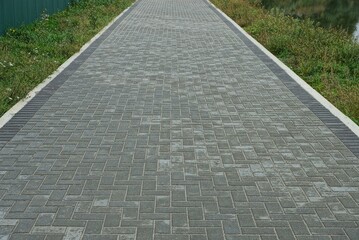 Obraz premium long alley of gray paving slabs along the green grass