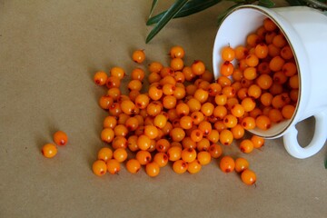 Berries,
Sea buckthorn,
Sea buckthorn juice,
recipe,
Leaves,
Harvest,
Garden,
Fall,
autumn garden,
season,
autumn landscape,
autumn evening
