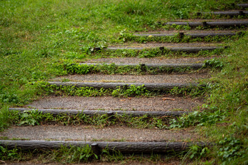steps in the garden