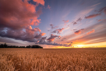 A Colourfull sunset at a field in Denmark © Niels Melander