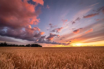  A Colourfull sunset at a field in Denmark © Niels Melander