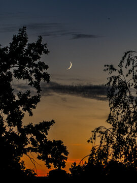 Waxing crescent moon © Piotr