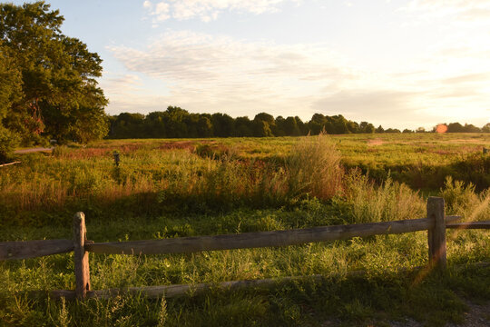 Stunning Views of a Meadow During the Golden Hour