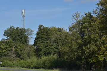Mast in the trees