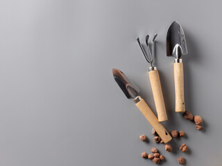 set of gardening tools on gray background. garden concept background with text space. top view