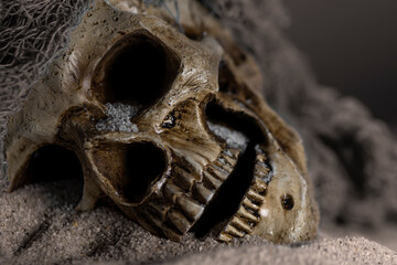 macro photography of toy skull laying on the sand.