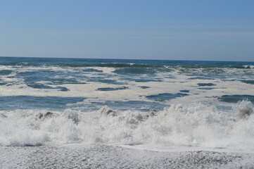 Hiking in the Redwood National Park among the giant old Sequoia trees and ferns in the canyons and forest trails, Northern California, USA