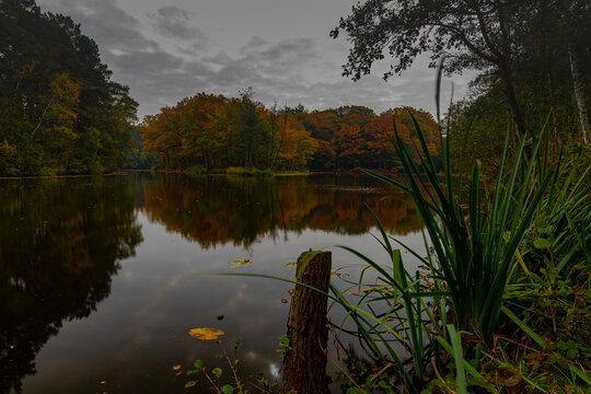 Autumn setting with a dramatic sky at the Brunsummerheide (english Brunssumerheide) with warm autumn leaf colours and reflections in the pond, giving this image an idyllic atmosphere