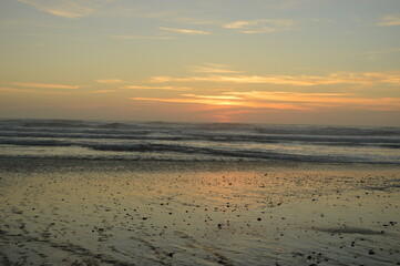 Hiking in the Redwood National Park among the giant old Sequoia trees and ferns in the canyons and forest trails, Northern California, USA