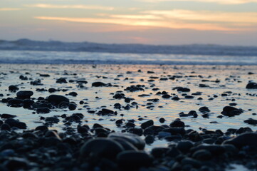 Hiking in the Redwood National Park among the giant old Sequoia trees and ferns in the canyons and forest trails, Northern California, USA