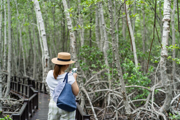 Naklejka na ściany i meble Asian women traveling nature forest and using smartphone. Walking path in the tropical jungle.