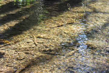 very transparent river of water, you can see the bottom
