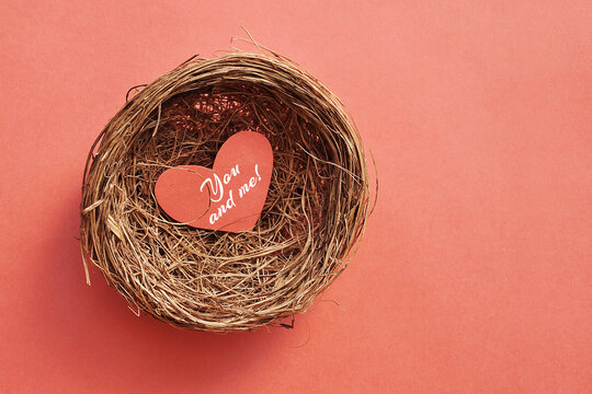 Heart with the words you and me in the nest on a pink background. symbol of family and love