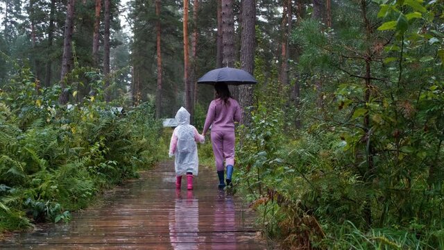 Little Girl in Raincoat with her Mother Enjoying Walking on Wet Woden Path in Rainy Day. Back View. Autumn Season, Harmony with Nature and People concept