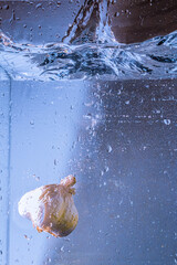 splash of a head of garlic falling into water