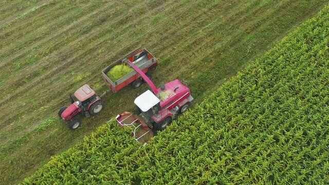 High Angle follow combine harvester removes crop from green field into tractor, Moscow area, Russia