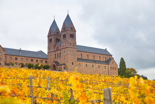 Eibingen Abbey near the village of ruedesheim with clouded sky and yellow vineyard