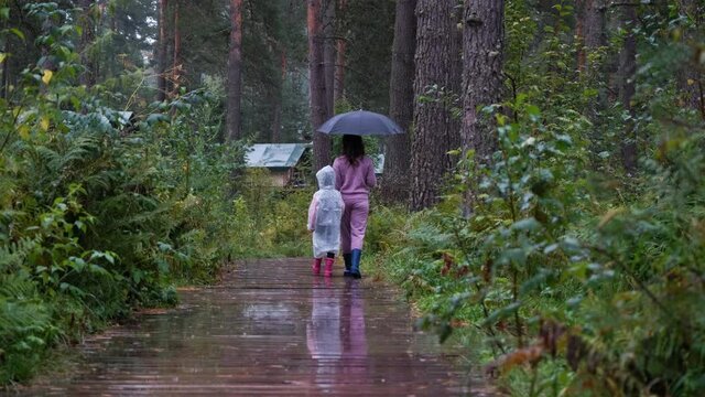 Little Girl in Raincoat with Mother Enjoying Walking on Wet Woden Path in Rainy Day. Slow Motion. Autumn Season, Harmony with Nature and People concept