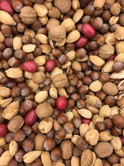 mix of nuts. background