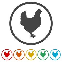 Chicken, Hen ring icon, color set